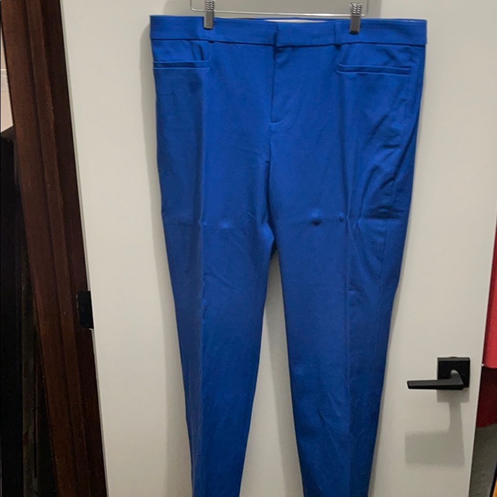 Banana Republic - Sloan Pant - 16L - Royal Blue